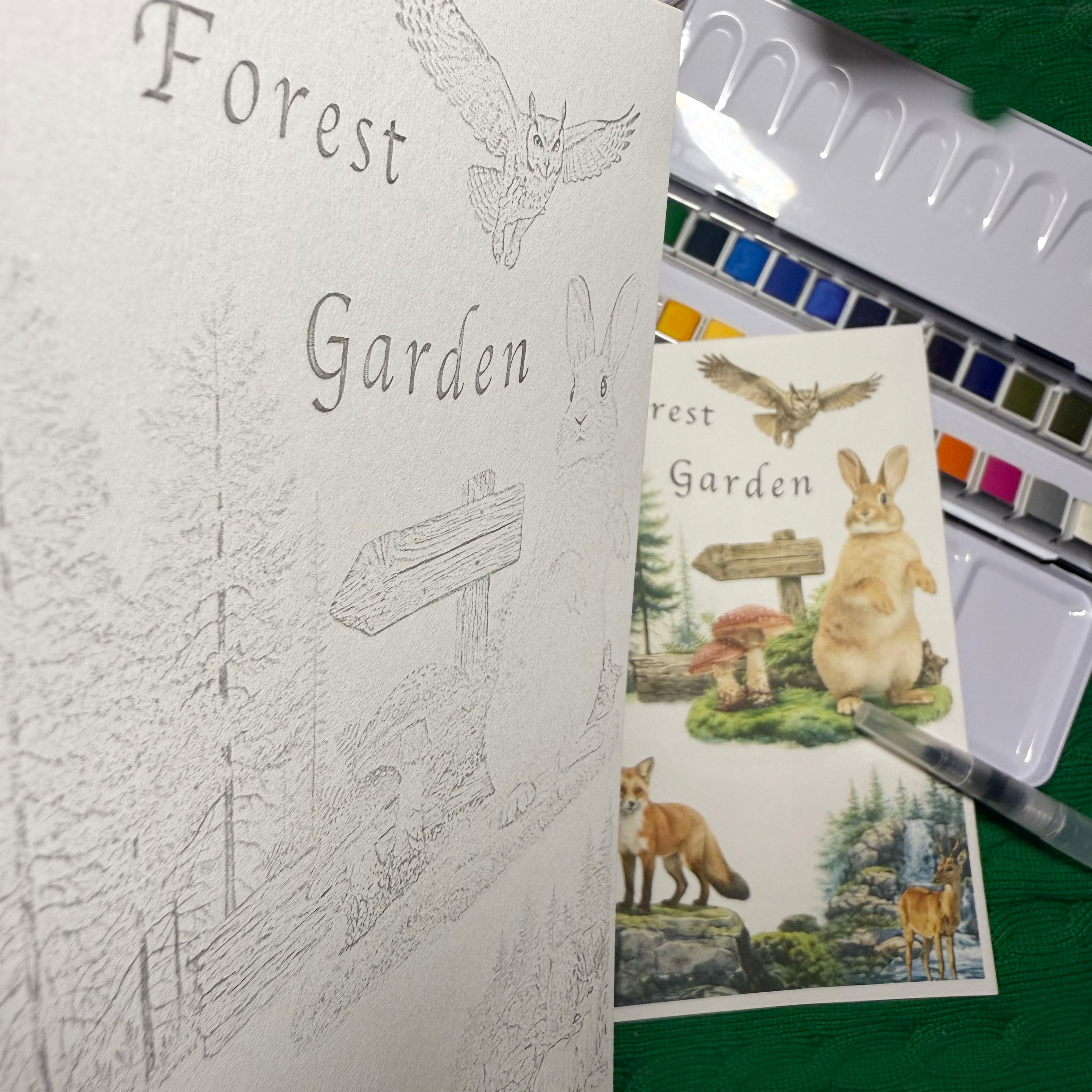 Forest Garden-Themed Watercolor Coloring Paper